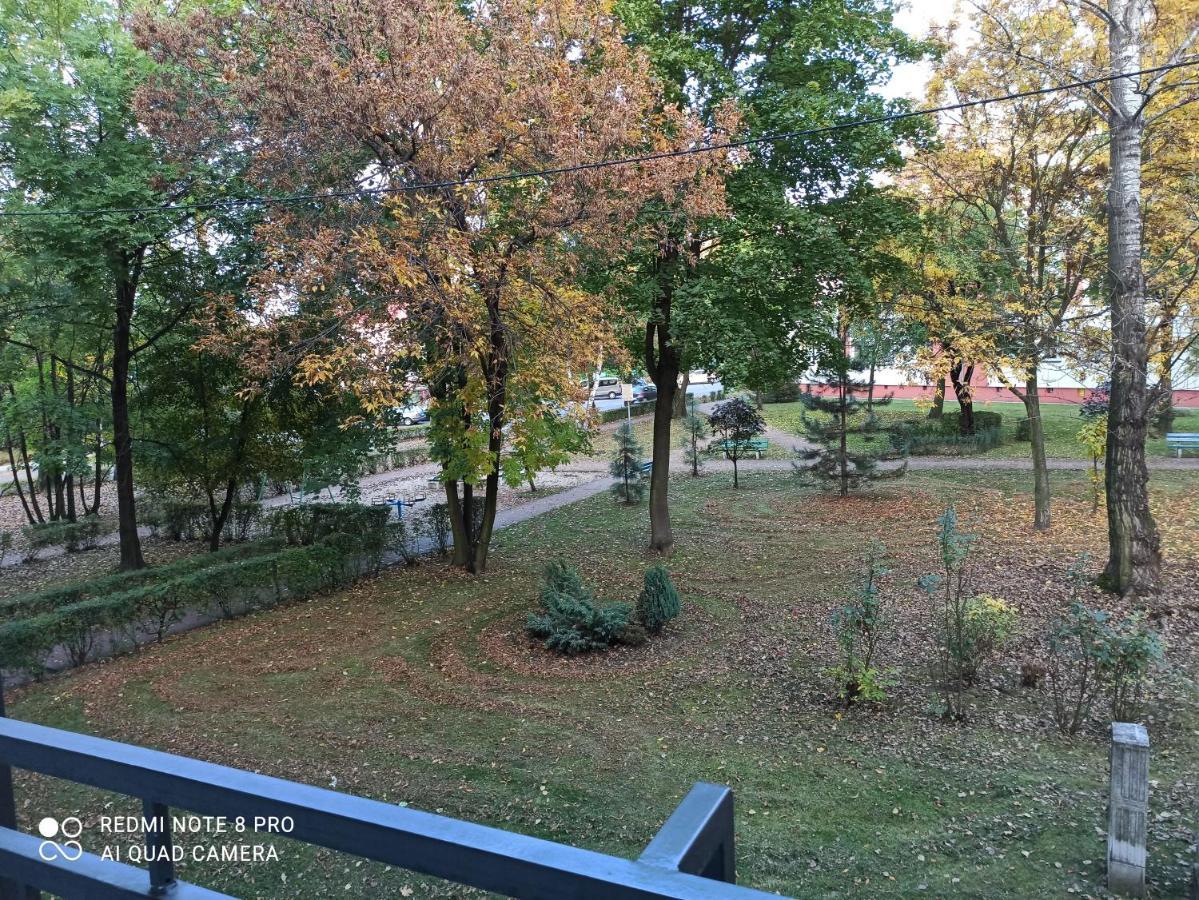 Studio Park Slaski Katowice/초르조프 외부 사진